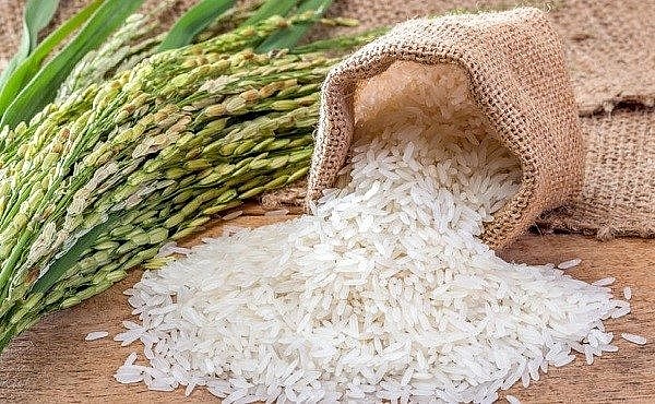 Giá gạo xuất khẩu của Việt Nam lại lập đỉnh, nông dân lãi lớn