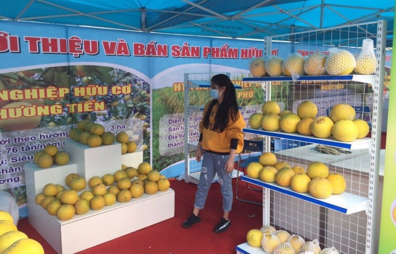 Thương mại điện tử - Bước đệm mới cho nông sản Việt