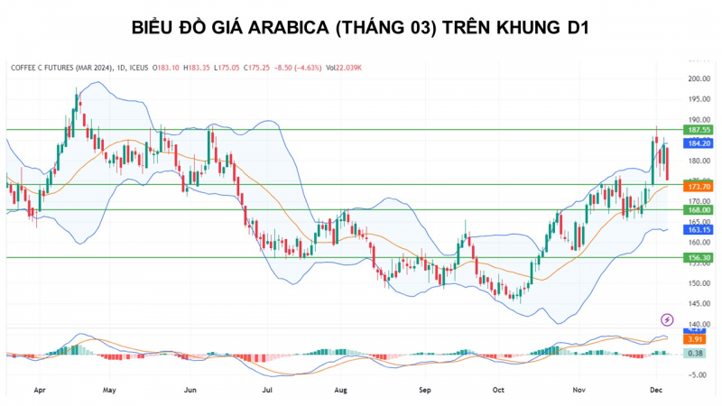 Giá cà phê có thể biến động giằng co do thông tin trái chiều