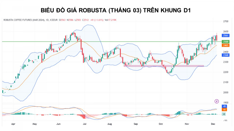 Giá cà phê có thể biến động giằng co do thông tin trái chiều