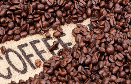 Thế giới có thể thiếu hụt 35 triệu bao cà phê Robusta vào năm 2040