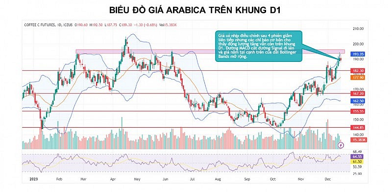 Giá cà phê có thể biến động mạnh khi nắng nóng hạ nhiệt