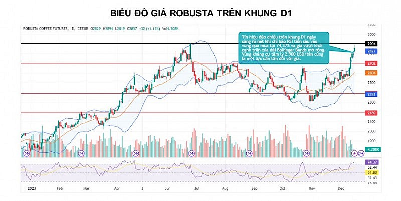 Giá cà phê có thể biến động mạnh khi nắng nóng hạ nhiệt