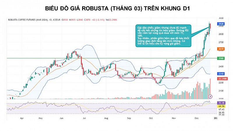 Giá cà phê có thể tiếp tục tăng