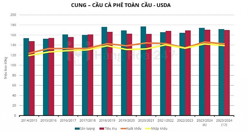 Tồn kho cà phê toàn cầu có thể thấp nhất trong 12 năm