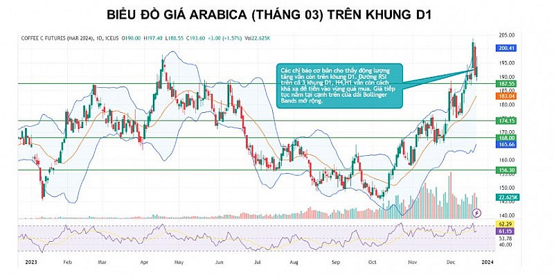 Giá cà phê Arabica còn động lượng tăng trước lo ngại nguồn cung thấp