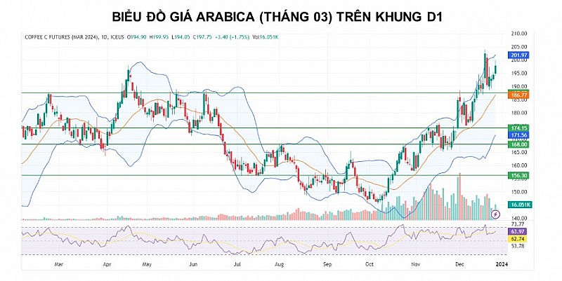 Giá cà phê vẫn còn động lượng tăng trước lo ngại nguồn cung