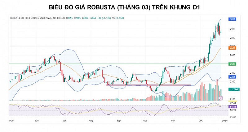 Giá cà phê vẫn còn động lượng tăng trước lo ngại nguồn cung