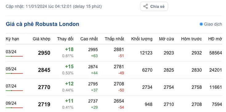 Giá cà phê mới nhất ngày 11/1/2024