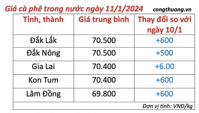 Giá cà phê mới nhất ngày 11/1/2024