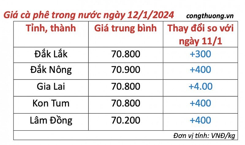 Giá cà phê mới nhất ngày 12/1/2024