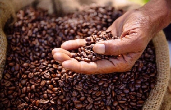 Tồn kho cà phê thế giới dự kiến sẽ giảm xuống mức thấp nhất 12 năm