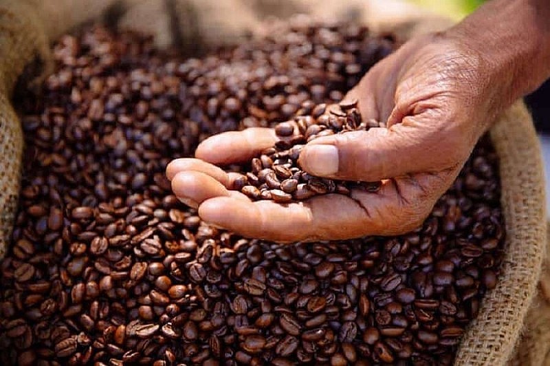 sản lượng cà phê arabica toàn cầu trong niên vụ 2023-2024 dự kiến sẽ tăng 9,4 triệu bao lên 97,3 triệu bao