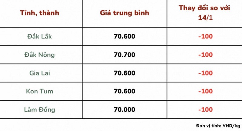 Giá cà phê mới nhất ngày 15/1/2024