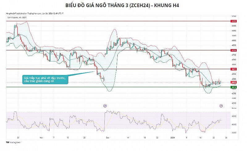 Giá đậu tương có thể biến động trong biên độ hẹp quanh vùng 1240