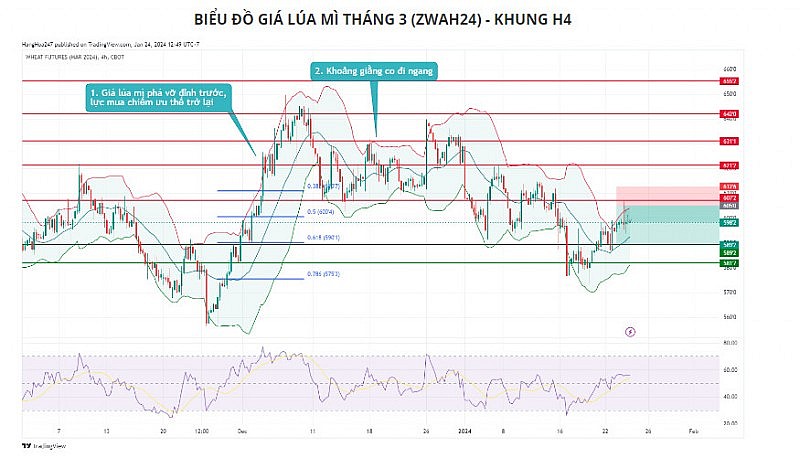 Giá đậu tương có thể biến động trong biên độ hẹp quanh vùng 1240