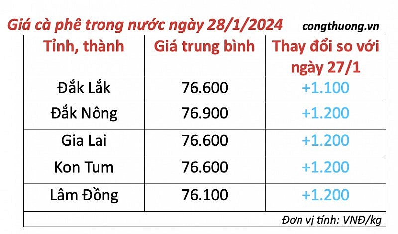 Giá cà phê mới nhất ngày 28/1/2024