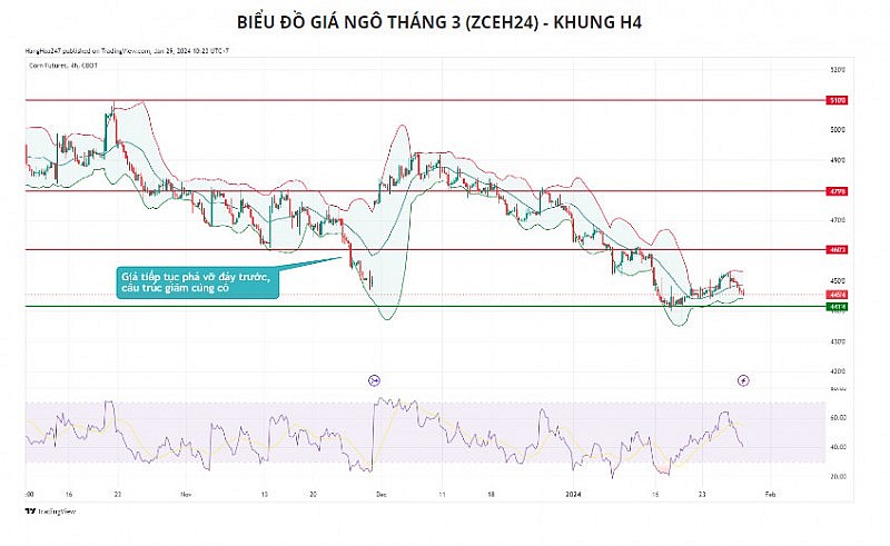 Giá đậu tương có thể chịu sức ép khi lo ngại vụ mùa tại Argentina được xoa dịu