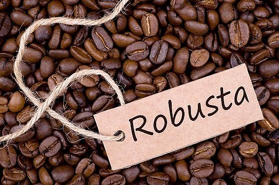 Lo ngại thiếu hụt nguồn cung giúp giá cà phê Robusta tăng cao