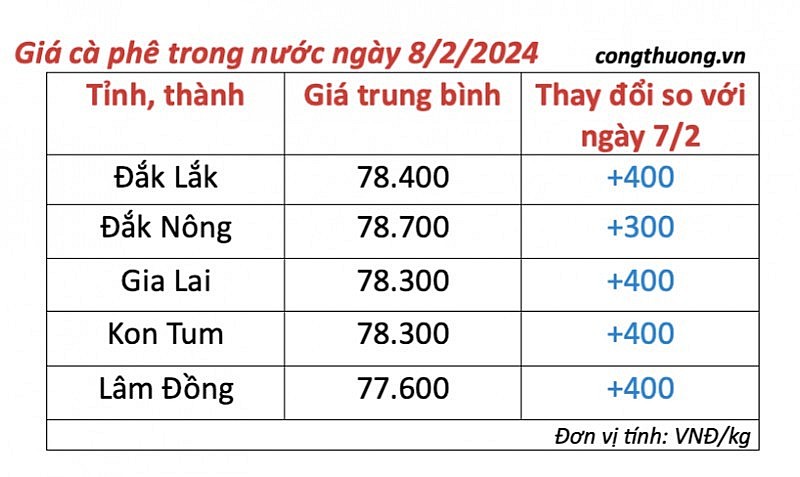 Giá cà phê mới nhất ngày 8/2/2024