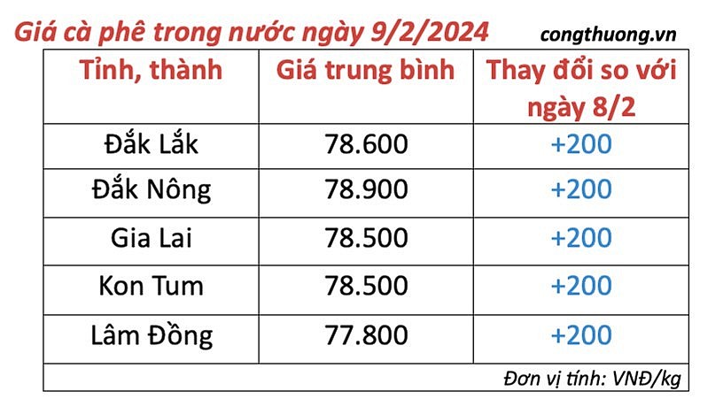 Giá cà phê mới nhất ngày 9/2/2024