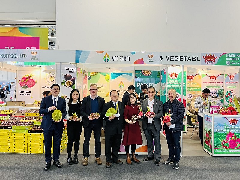 Đẩy mạnh quảng bá rau quả Việt Nam tại Hội chợ Fruit Logistica 2024