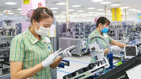 Doanh nghiệp Uzbekistan tìm kiếm cơ hội hợp tác với doanh nghiệp Việt Nam
