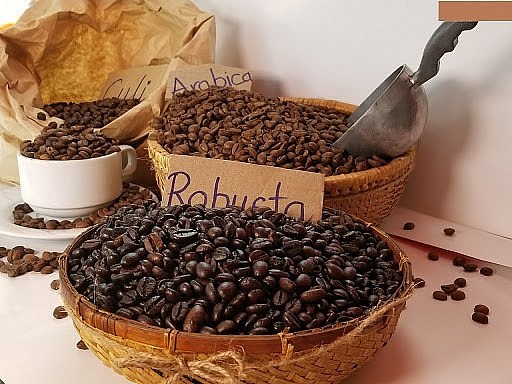 cà phê Arabica đạt mức cao nhất trong 4 tuần qua và Robusta đạt mức cao kỷ lục mới 