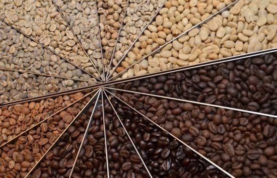 Giá cà phê mới nhất ngày 10/4/2024: Thị trường cà phê trong nước nối đà tăng, cán mốc 105.000 đồng/kg