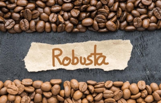 Giá cà phê Robusta ngược chiều thế giới