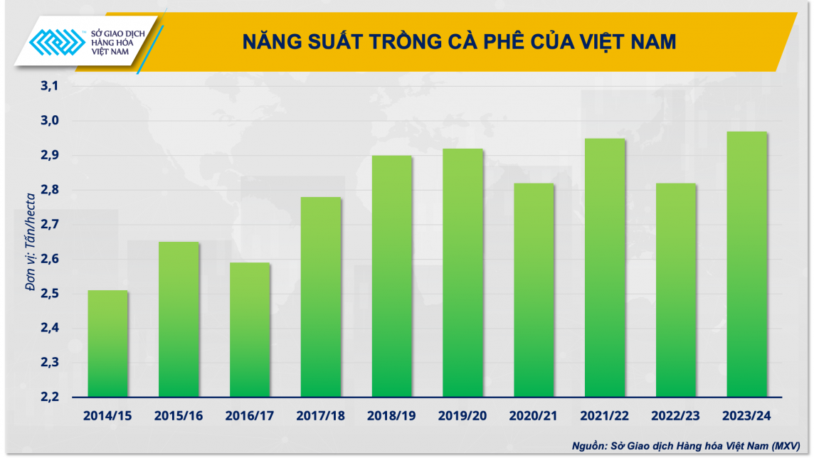 Vị thế cà phê của Việt Nam đang bị đe dọa từ cà phê Robusta của Brazil