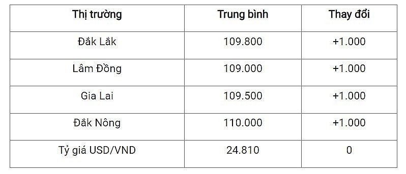 Giá cà phê mới nhất ngày 13/4/2024: Thị trường cà phê trong nước tăng đạt đỉnh 109.000 đồng/kg