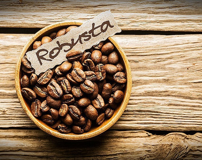 Giá cà phê Robusta đạt mức cao lịch sử
