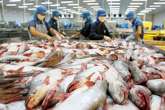 Thái Lan là thị trường tiêu thụ cá tra lớn nhất của Việt Nam trong khối ASEAN