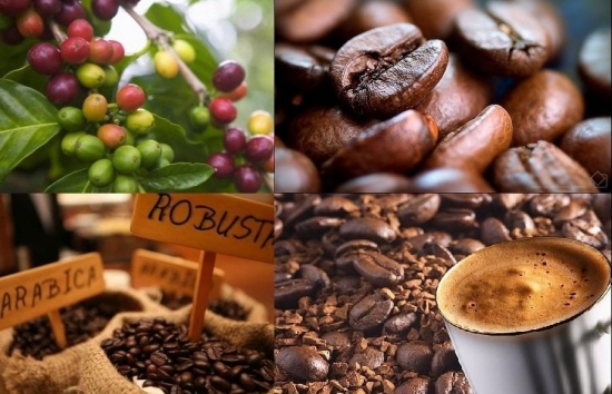 Giá cà phê mới nhất ngày 17/4/2024: Cà phê trong nước tăng kỷ lục, cao nhất 116.200 đồng/kg