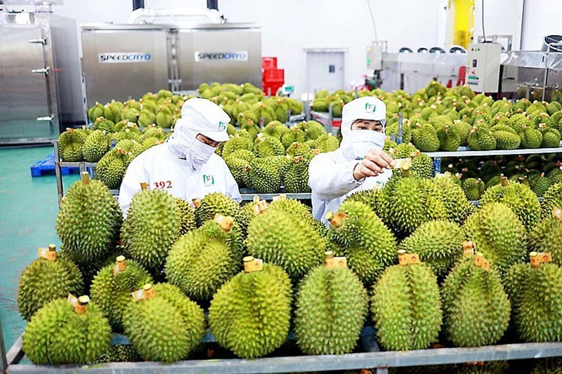 Thu về hàng tỷ USD từ xuất khẩu, rau quả Việt vẫn mờ nhạt về thương hiệu