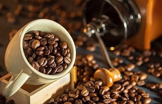 Giá cà phê mới nhất ngày 15/5/2024: Cà phê trong nước giảm nhẹ 200 – 300 đồng/kg