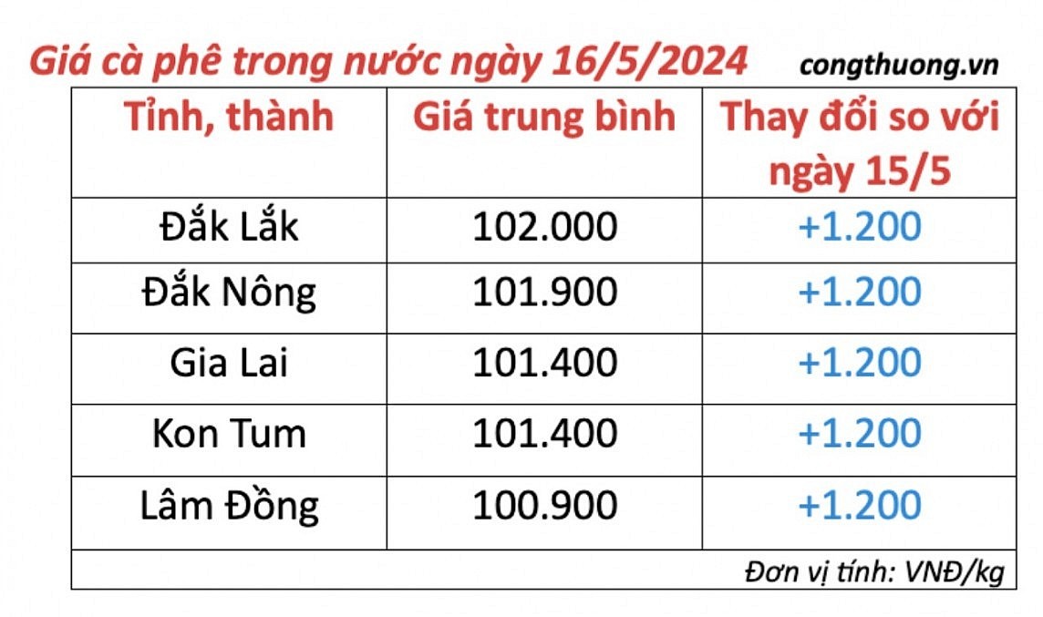 Giá cà phê mới nhất ngày 16/5/2024