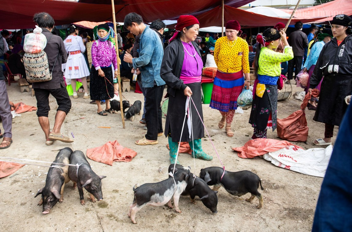 Hà Giang: Chợ phiên Đồng Văn - điểm hẹn văn hoá trên cao nguyên đá