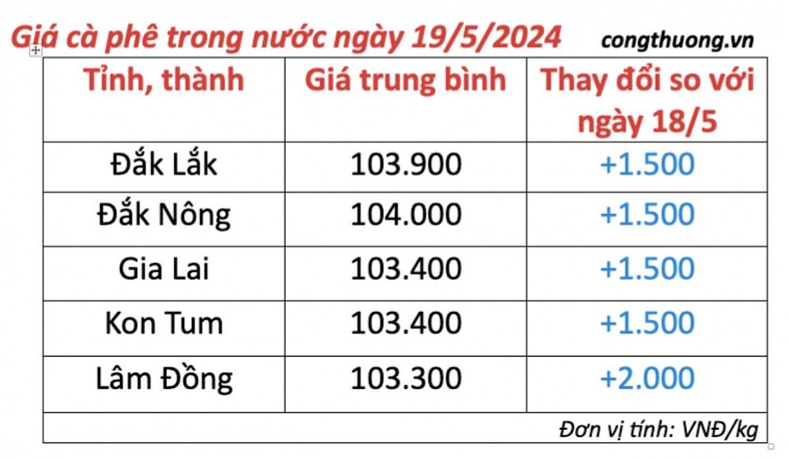 Giá cà phê mới nhất ngày 19/5/2024