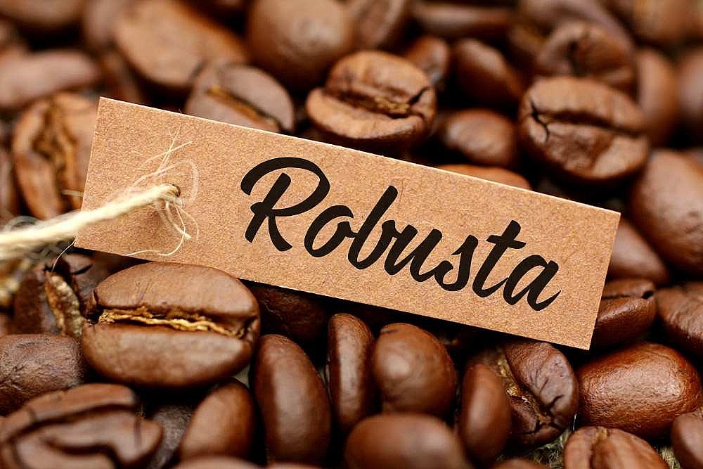 Giá cà phê Robusta trên sàn London tăng 57 USD lên mức 4.177 USD/tấn