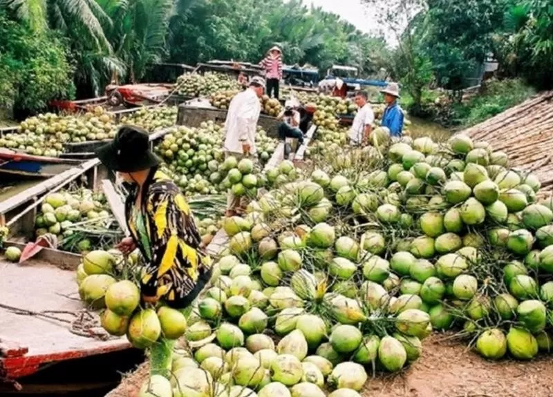 Trung Quốc: Thị trường xuất khẩu nông lâm thủy sản lớn nhất của Việt Nam