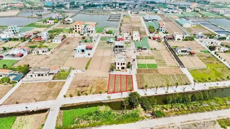 Xây dựng bảng giá đất cần đánh giá tác động tới người dân, doanh nghiệp