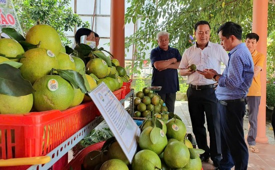 Thừa Thiên Huế: Đẩy mạnh hoạt động xúc tiến thương mại