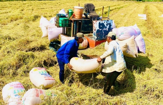 Xuất khẩu nông sản Việt và lợi thế phát triển trên 'sân nhà' châu Á