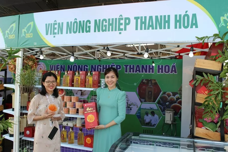 Nhiều sản phẩm OCOP của xứ Thanh đã có mặt trên các thị trường khó tính