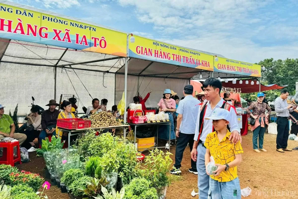 Gia Lai: Đưa nông sản vùng biên gần hơn với du khách thông qua lễ hội