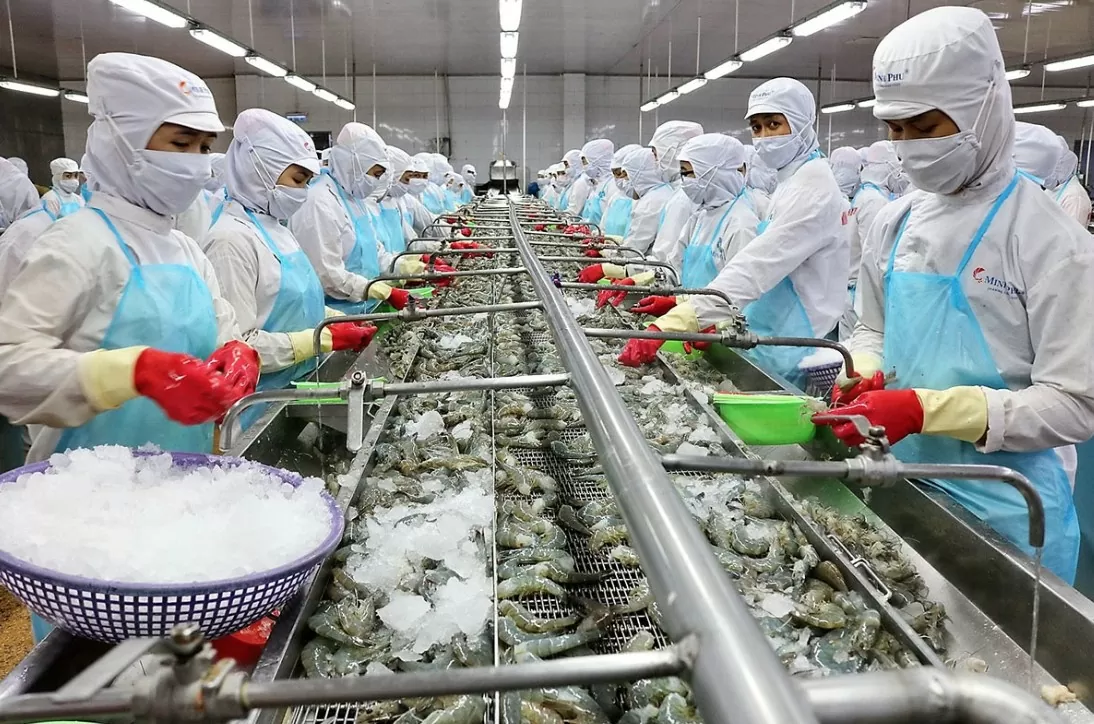 Thuỷ sản Việt Nam là một trong những sản phẩm được thị trường ASEAN ưa chuộng Thuỷ sản Việt Nam là một trong những sản phẩm được thị trường ASEAN ưa chuộng