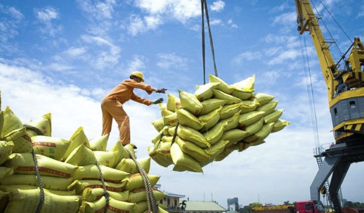 Tìm kiếm cơ hội cho doanh nghiệp Việt xuất khẩu gạo sang thị trường Trung Quốc