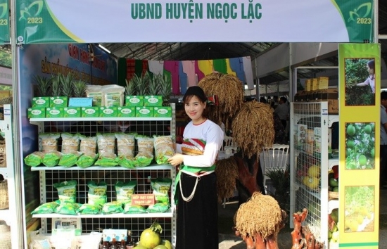 Thanh Hóa phấn đấu hoàn thành các mục tiêu xây dựng nông thôn mới, nâng cao đời sống người dân